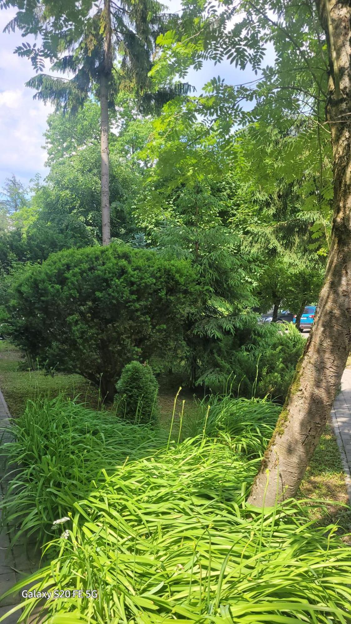Apartament Przy Parku Nałęczów Exteriör bild